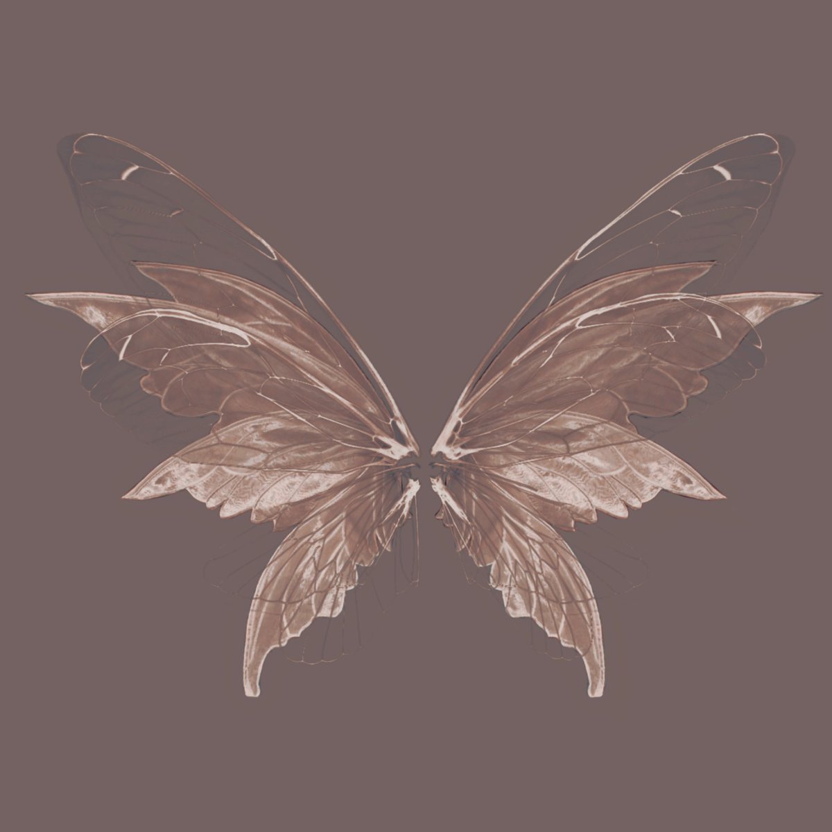 NYMPHEREAL's tweet image. 