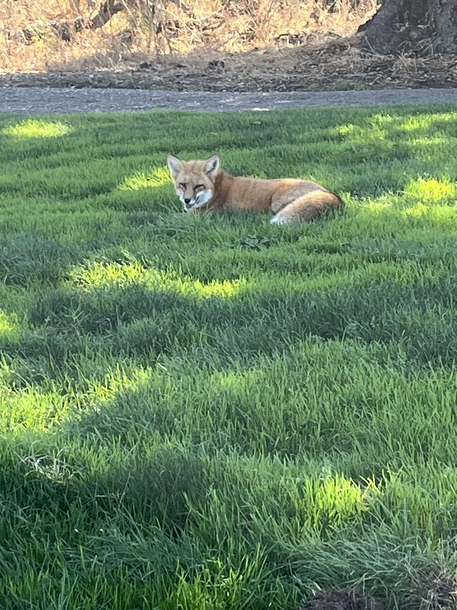 David Ranzolin tweet media