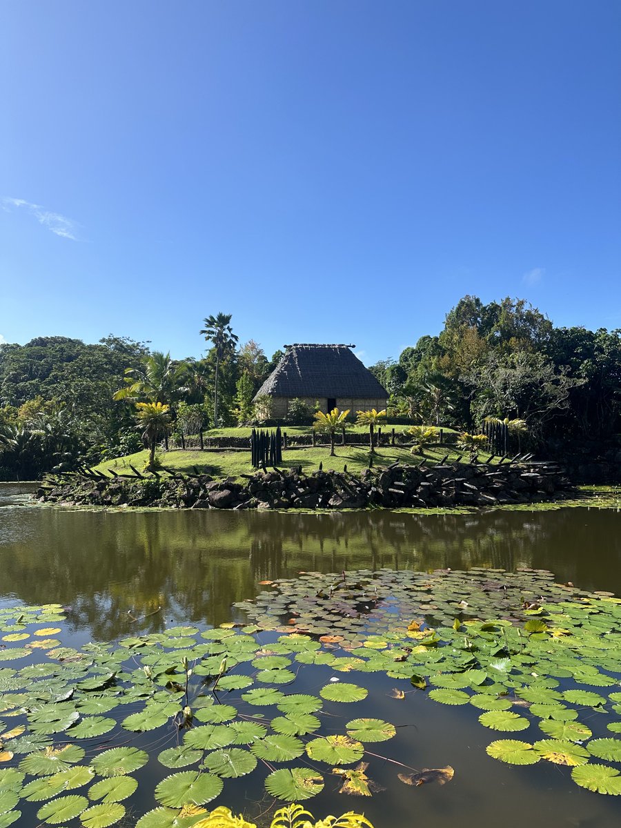 Beautiful day in Pacific Harbour ☀️
