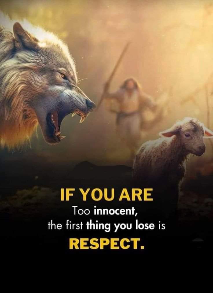 JabarullahSaeed's tweet photo. که چېرې ته له اندازې ډېر معصوم وې، نو لومړنۍ څه چې ته به یې له لاسه ورکوې هغه احترام دی.
✍️جبارالله - سعید! https://t.co/CB87IT3Whk