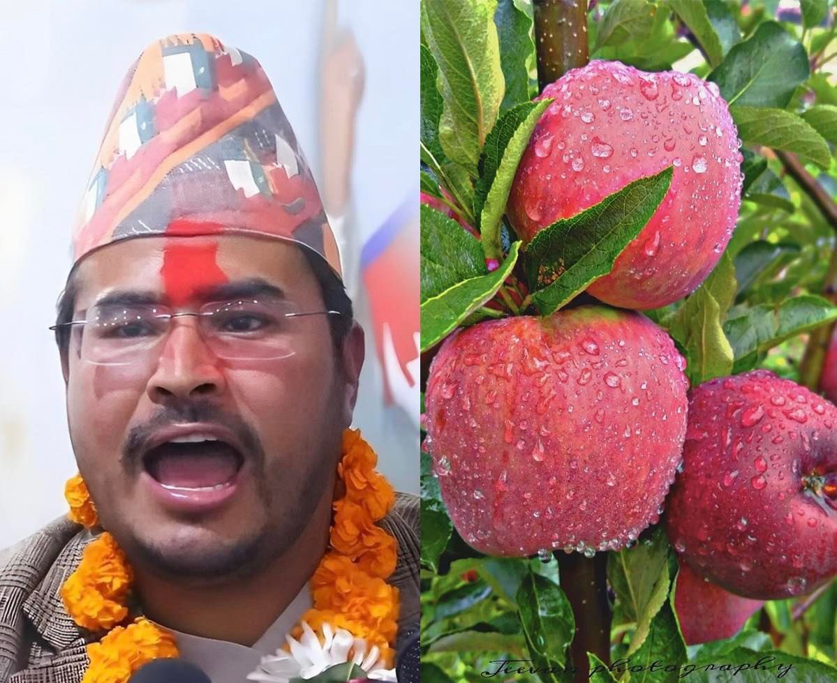 Big Thanks to MP Gyanendra Shahi for playing important role to promote &amp; raise voice for “Jumla Apple” from social media to Parliament which has helped the people of Jumla to sell their apples at good price this year. ❤️🙏