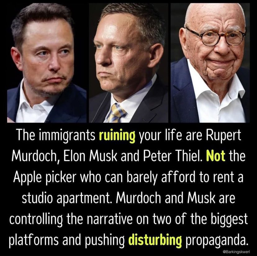#Trump #DarkMaga #Foxnews #ElonMusk
