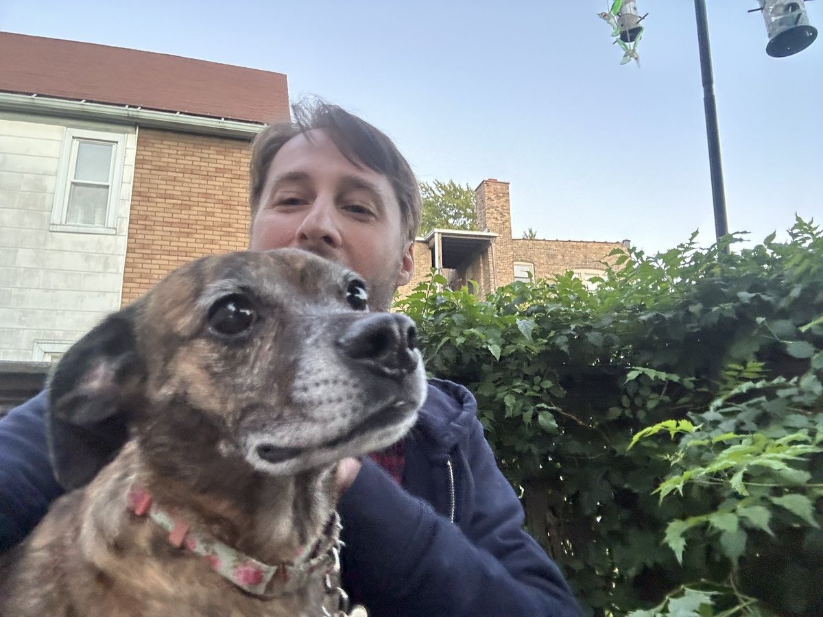 Bafflegabs! tweet media