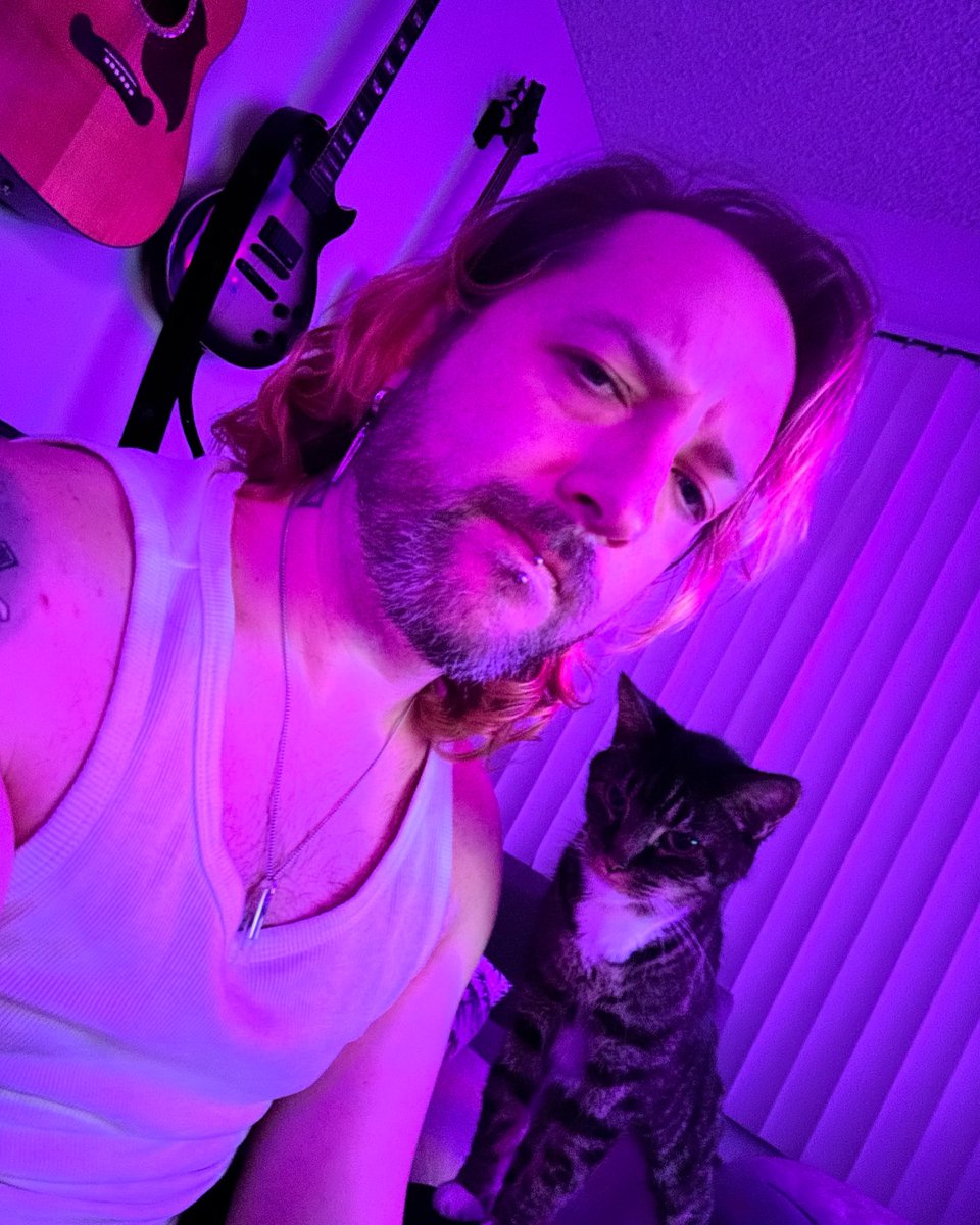 🐈✨