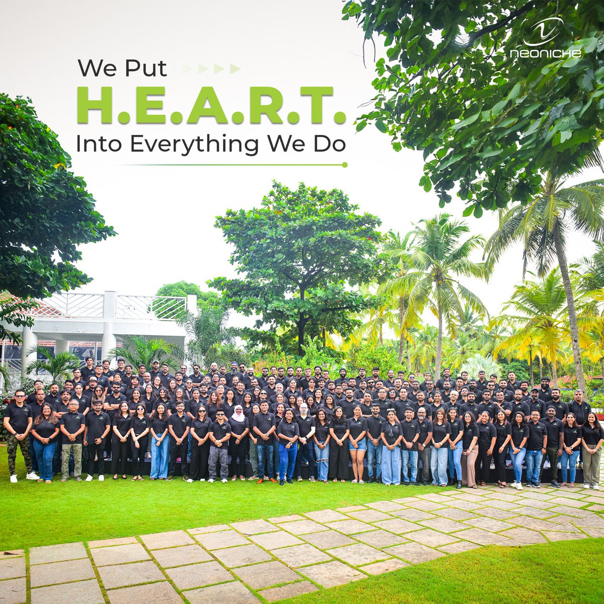 NeoNiche tweet media