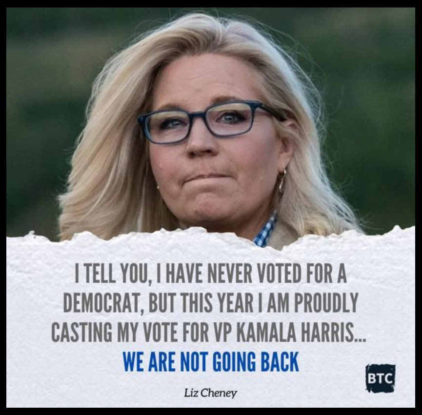 Drop a 💙 (or two) for Liz Cheney! 🙏💙💙