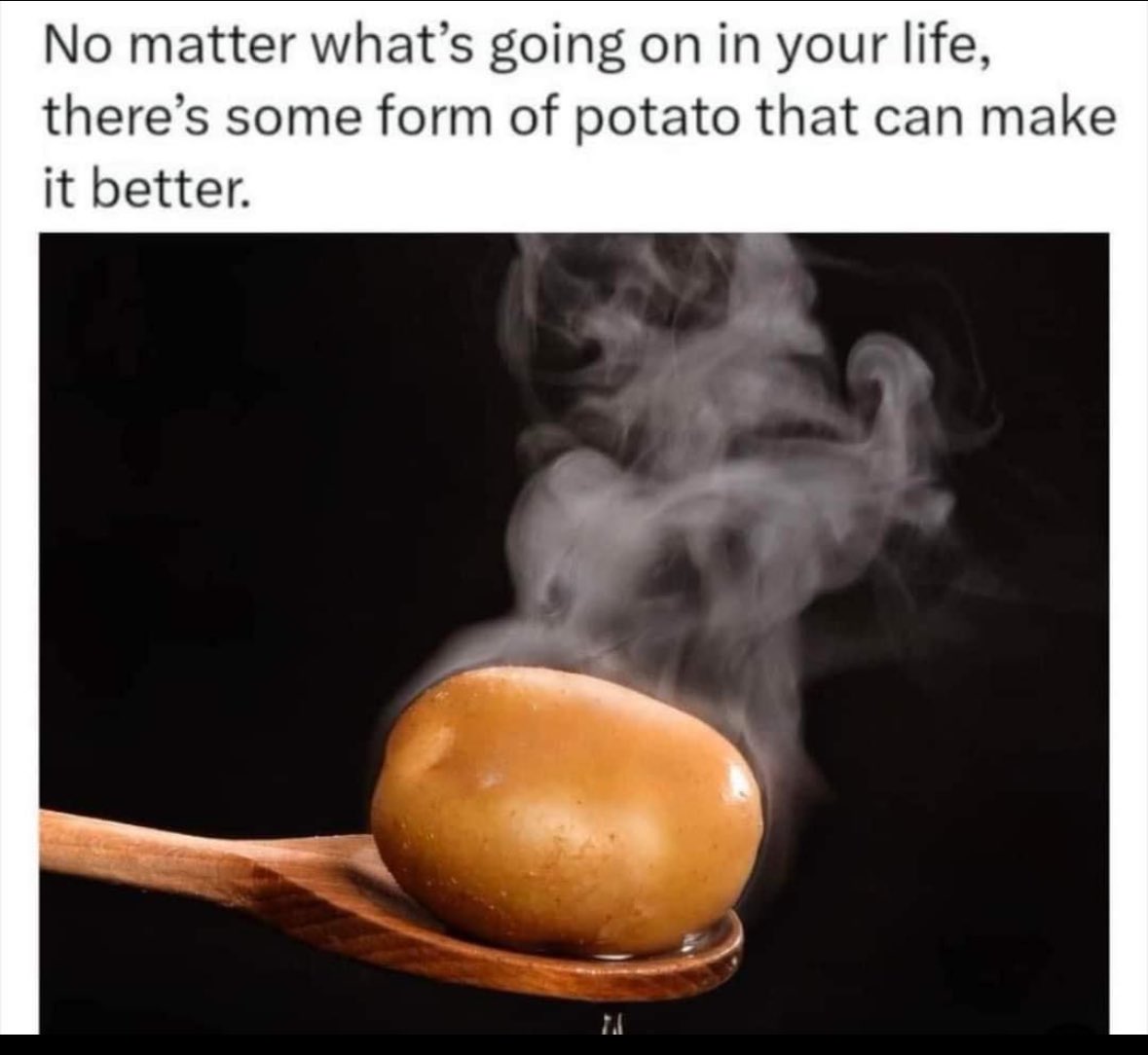 ADHDForReal's tweet image. 