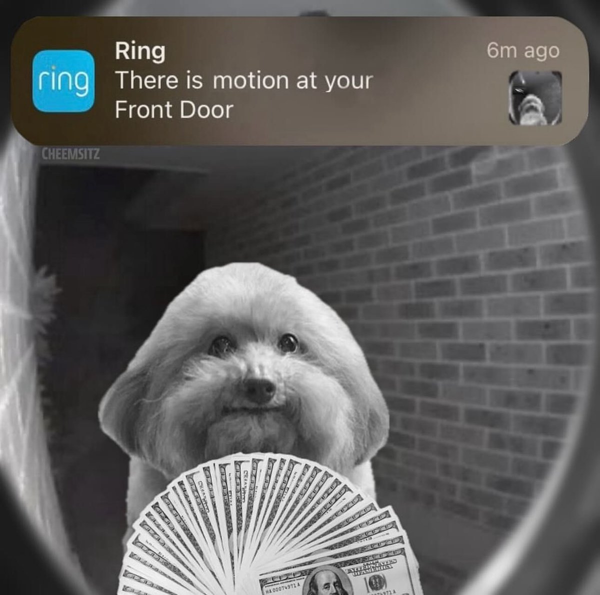 hourly_shitpost's tweet image. ㅤ