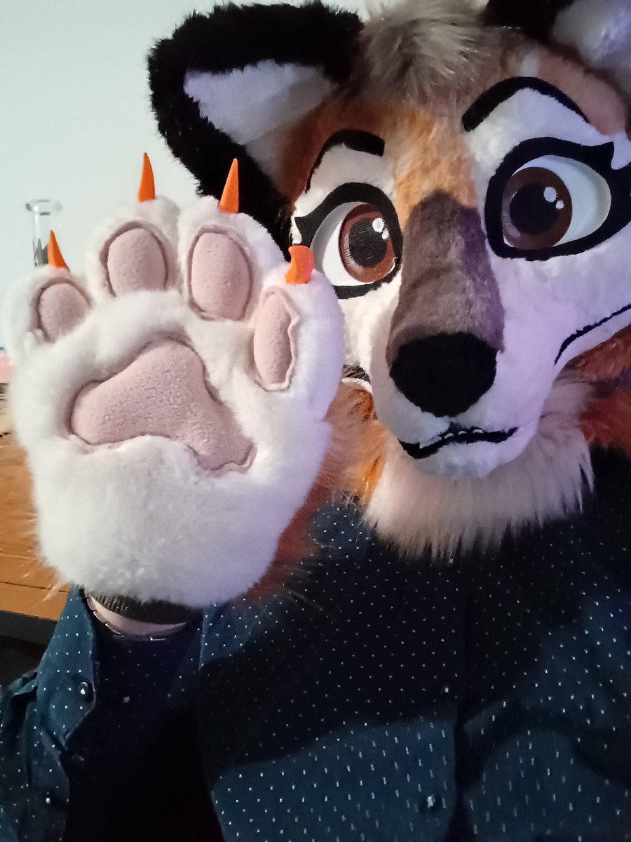 BlueTheFox / Pinetree tweet media