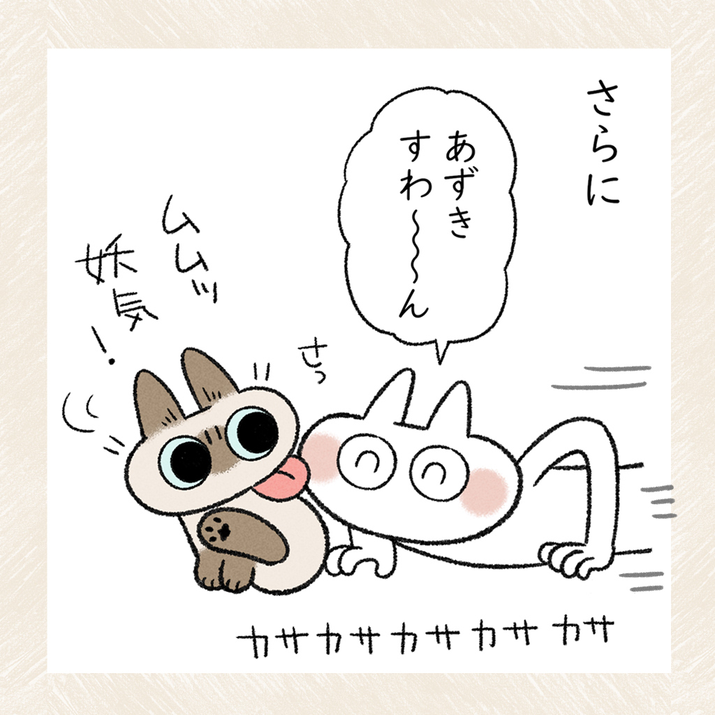 ありがとね #シャム猫あずきさんは世界の中心 