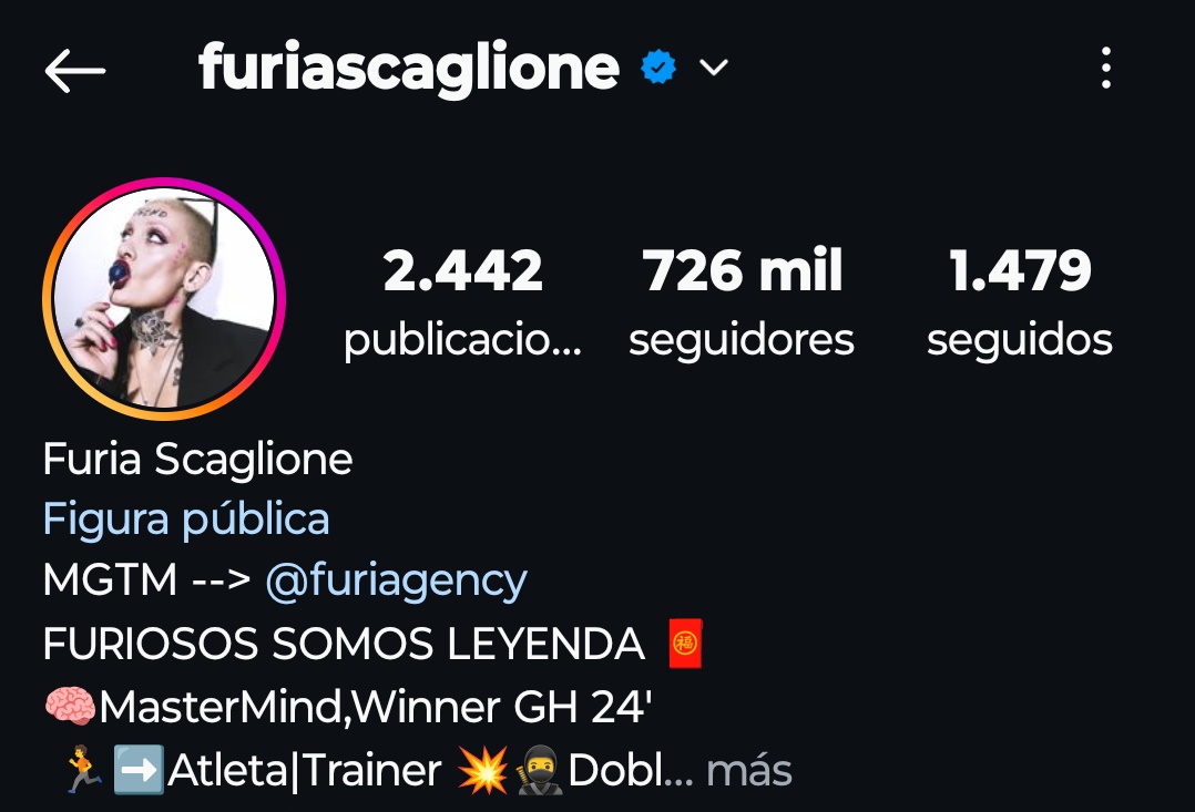 El Pollo Bugnuelo tweet media