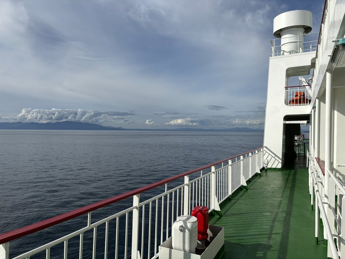 皮蟹 (@pipix_114514) on Twitter photo 