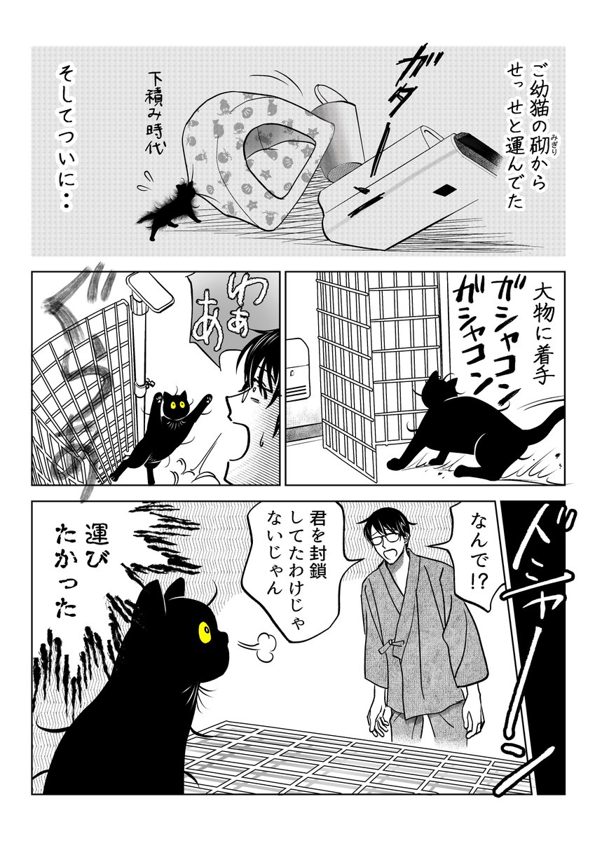 めっちゃ運ぶ猫
(1/2) 