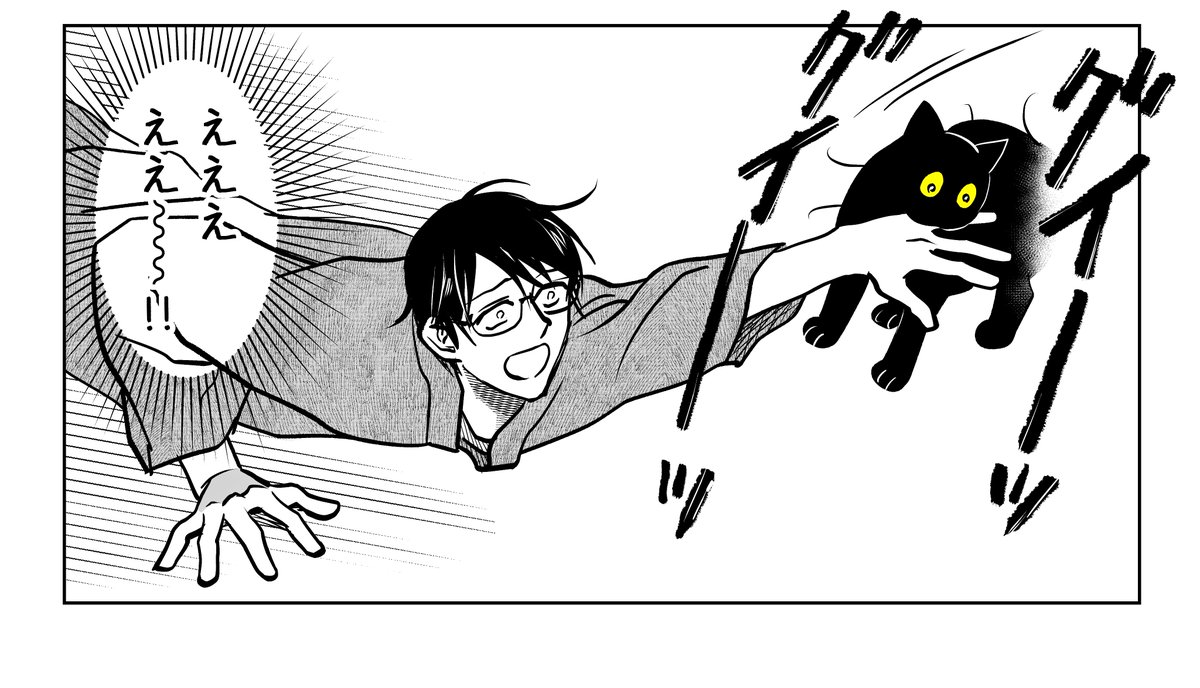 めっちゃ運ぶ猫
(2/2) 