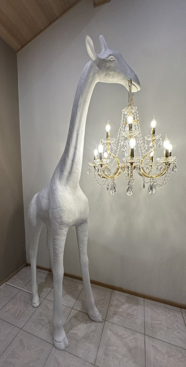 Just what every house needs! A giraffe with a chandelier! #OnlyInCanberra #KerinGals