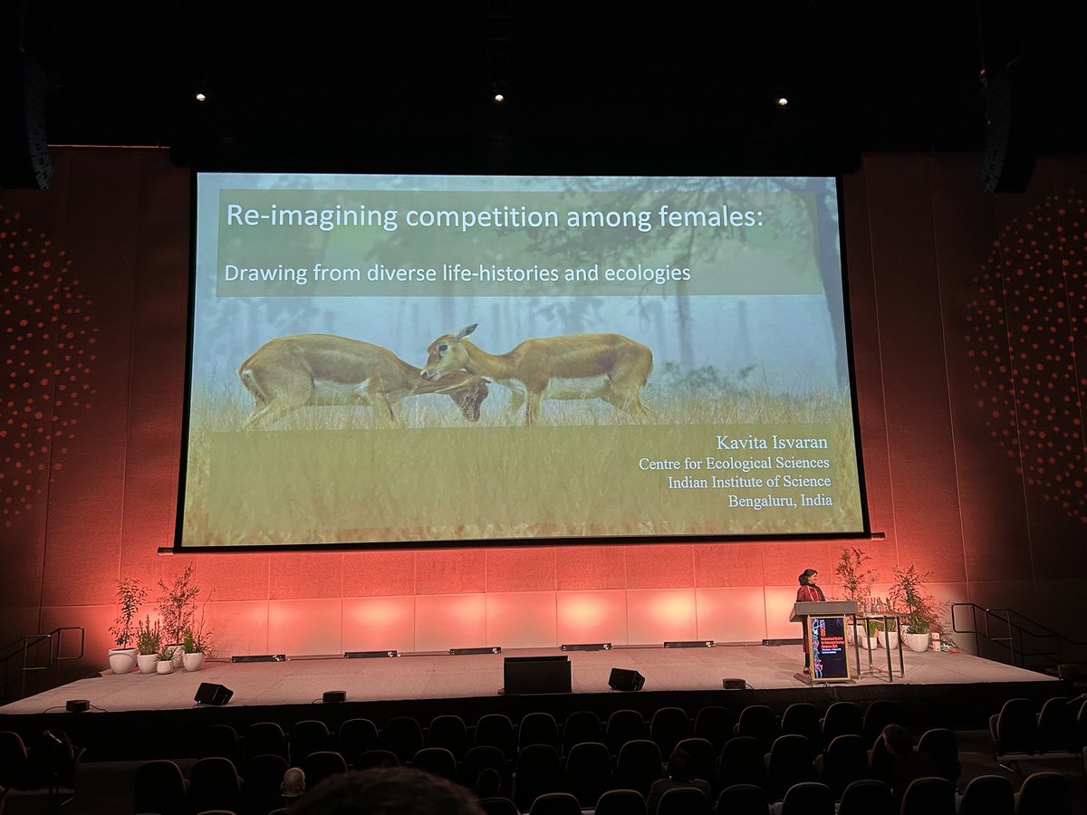 Viraj Torsekar | विराज तोरसेकर (@torsay) on Twitter photo The Indian contingent at #ISBE2024 grows rapidly every conference! Thanks partly to the incredible support offered by the <a href="/BehavEcol/">Behavioral Ecology</a> society
<a href="/kavitaisvaran/">Kavita Isvaran</a> giving the plenary was a big break for (behavioral) ecology in India and an emotional moment for many of us in the audience The Indian contingent at #ISBE2024 grows rapidly every conference! Thanks partly to the incredible support offered by the <a href="/BehavEcol/">Behavioral Ecology</a> society
<a href="/kavitaisvaran/">Kavita Isvaran</a> giving the plenary was a big break for (behavioral) ecology in India and an emotional moment for many of us in the audience