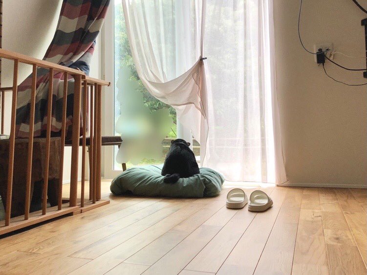cokemusun's tweet photo. シルエットが熊なんだが🐻 https://t.co/Ds9eBGfYy3
