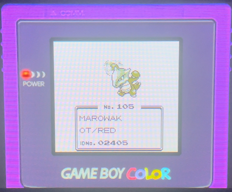Shiny Ghost Marowak after 10130 RAs! Started this as a Halloween hunt back in 2021 and finally managed to finish it.