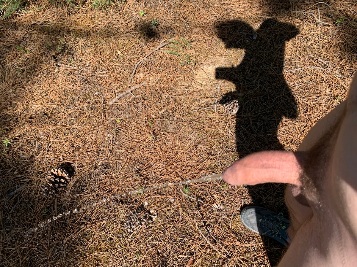 nudegayguy25's tweet photo. me and my shaddow #pishardon #pissing #outdoorpissing #piss #gaypiss #malepiss #foreskinpiss #publicpiss #pissinpublic https://t.co/YiCkXPkE07