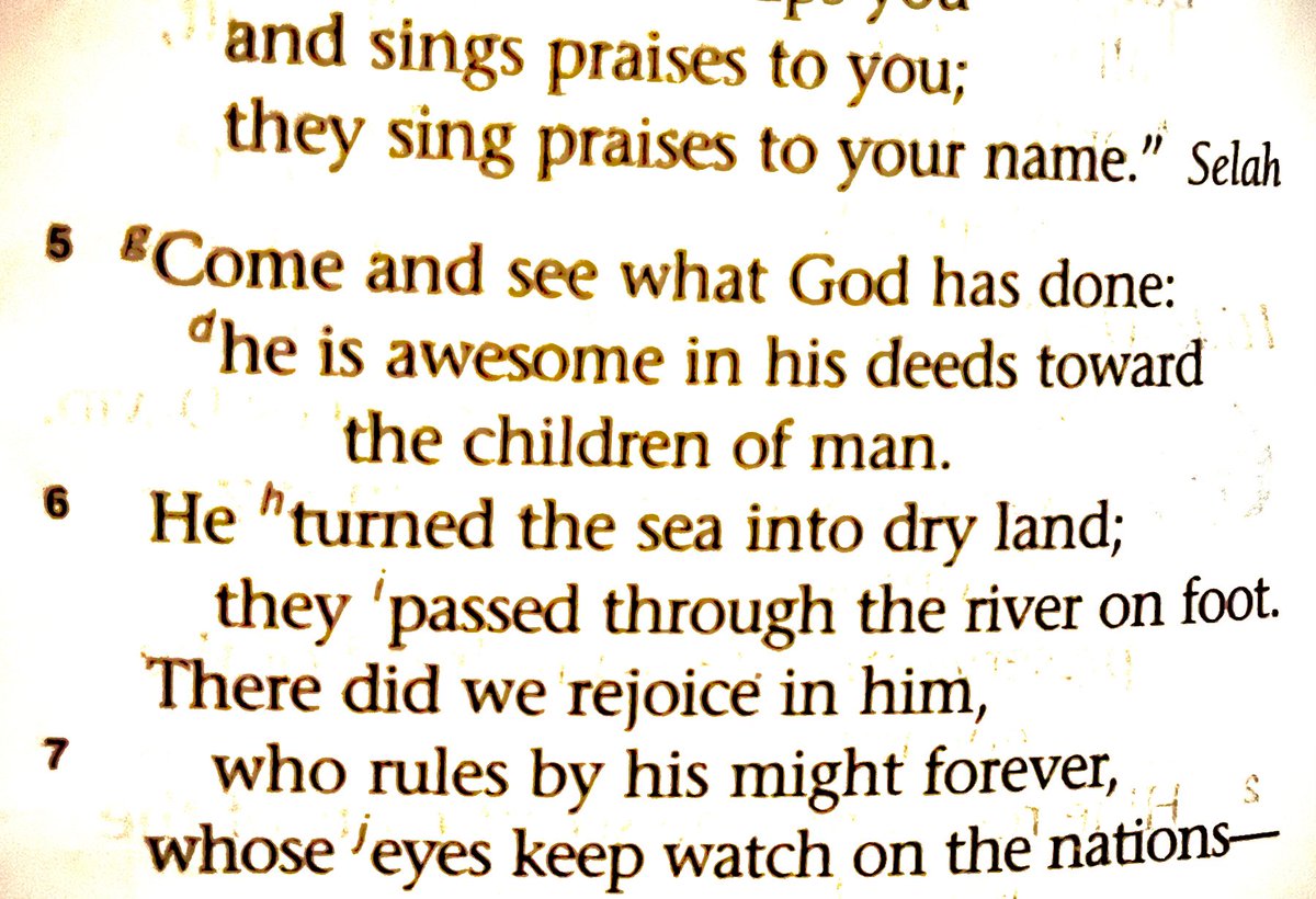 Come and see what God has done:
he is awesome in his deeds 
toward the children of man. 
Psalm 66:5 
#iLoveSundays