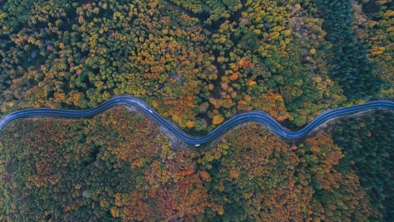 📌Sonbaharın Kıvrımları
📍Amanos Dağları/Hatay
📸 <a href="/yldrmfatih13/">Fatih YILDIRIM</a>