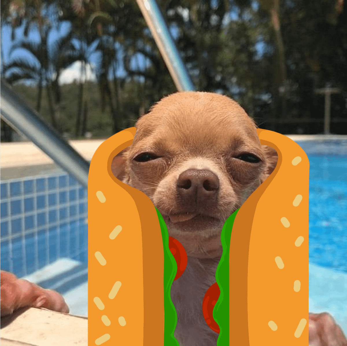 CDOGE tweet media