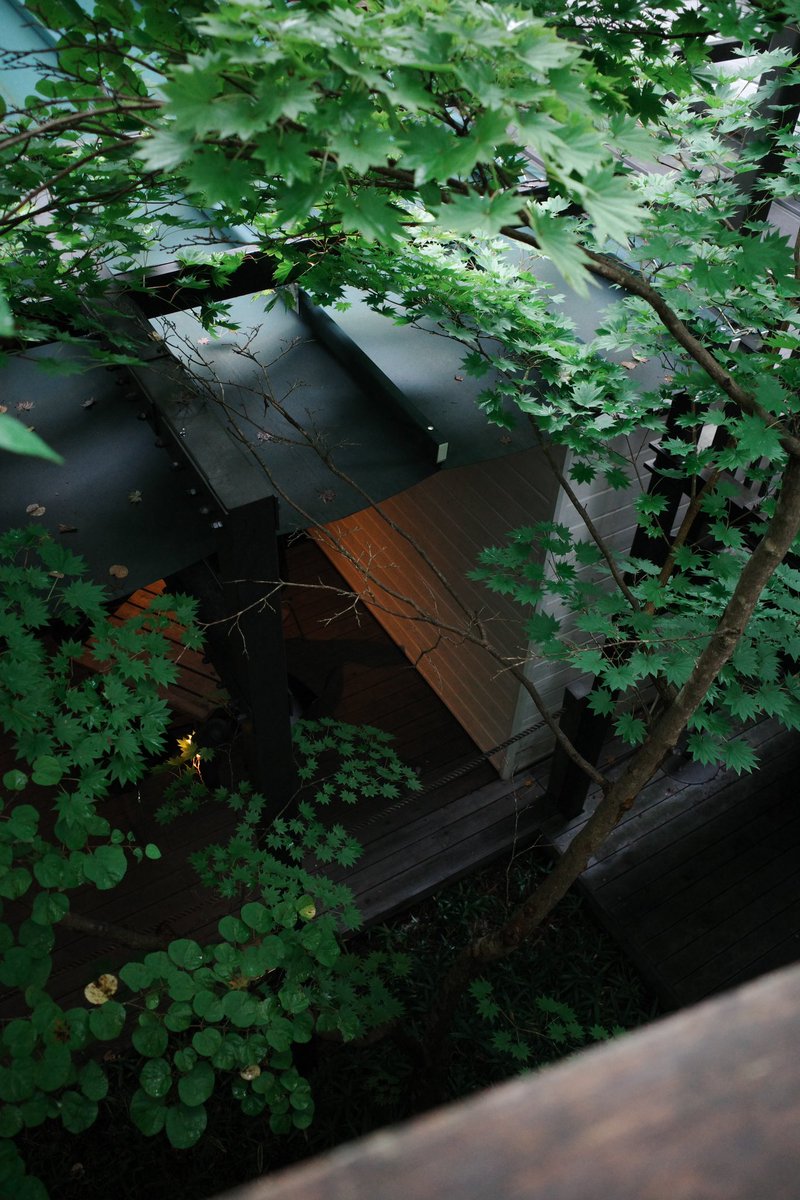 🌳🏠🌲

最近ネガフィルム調が好き。

#gr3 #photograph #photography #moodyphotography