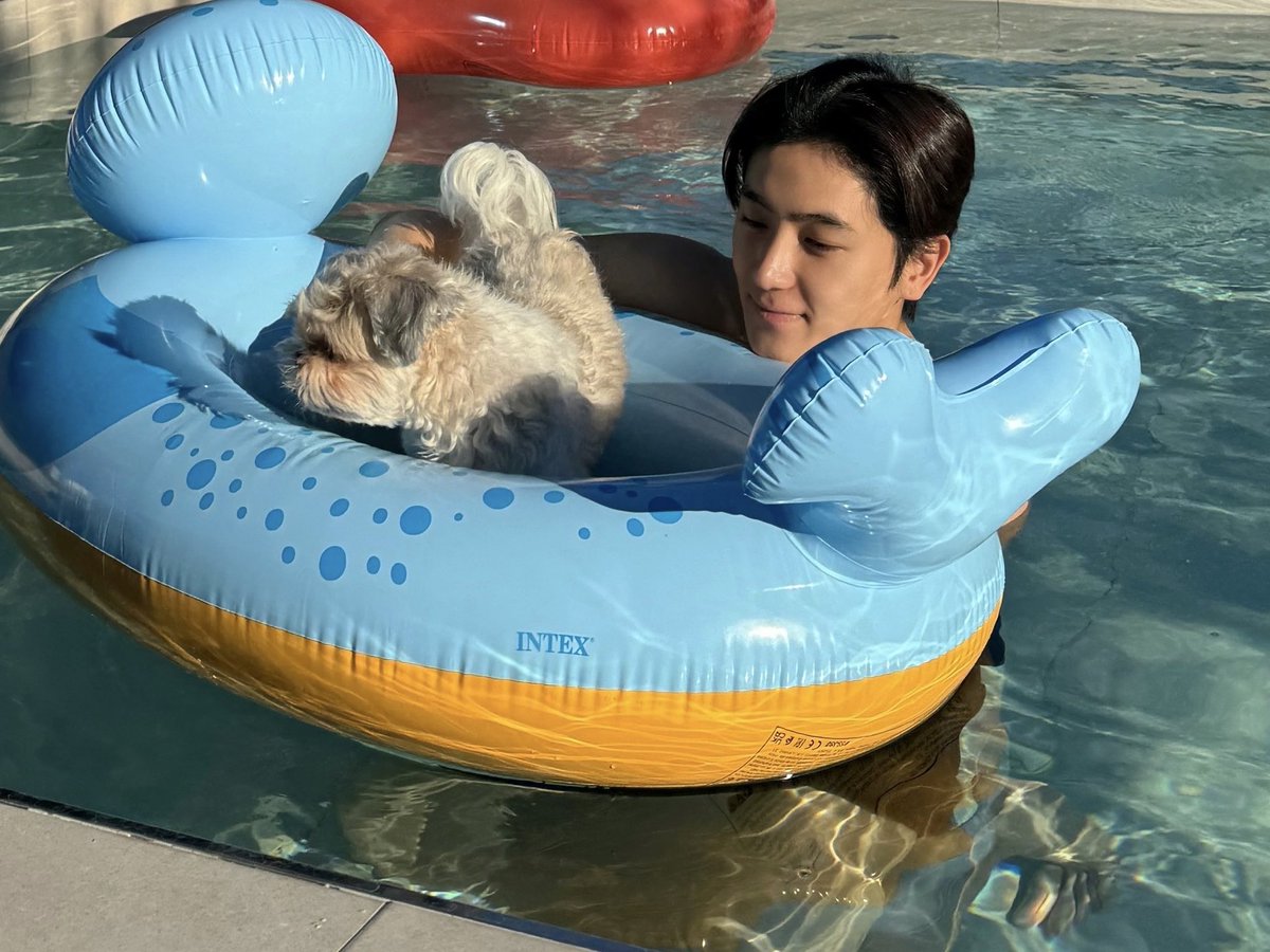 재현이가 “두 꼬질이 보여줄까?” 하고 사진 보내줌 🥹🥹