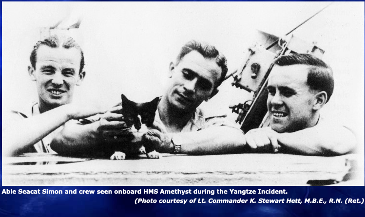 Michael_Leh's tweet photo. "Simon was a ship's #cat who served on the Royal Navy sloop-of-war HMS Amethyst. (...) He was...awarded a Blue Cross medal (...) and the fanciful rank of 'Able #seacat' after disposing of a particularly vicious rat known as "#Mao Tse-tung"." 😂 👍🤲
https://t.co/2rt3Tk9fgp https://t.co/kCAxtSjVRA