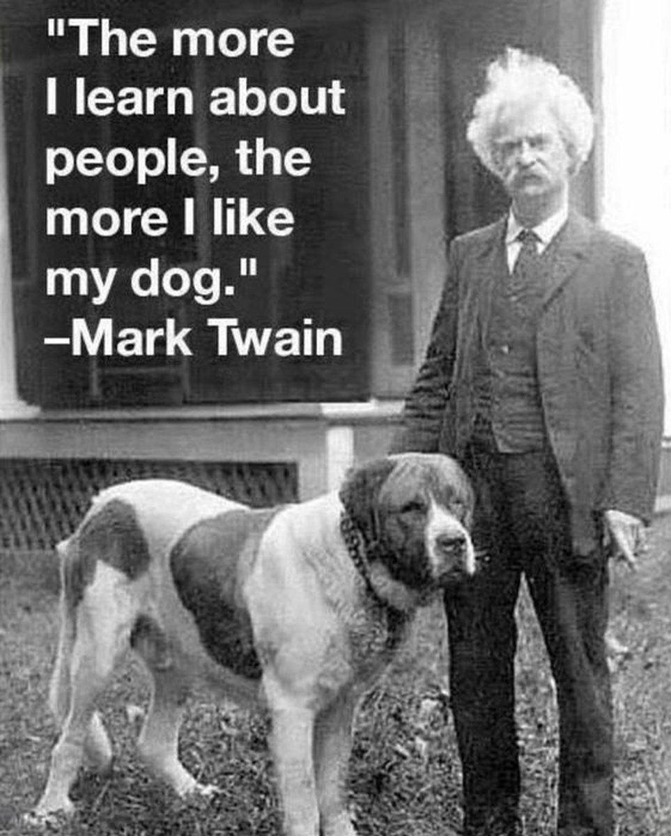 The Dalbo Dog tweet media