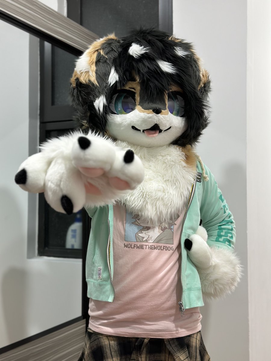 Some people have been asking me to wear a maid outfit on my fursuit, and you know what, I'll do it. 

If I can get 500 likes on this post before 11th October, 11pm GMT+8 then I'll do it. But I'll be buying the type of maid outfit I like :P