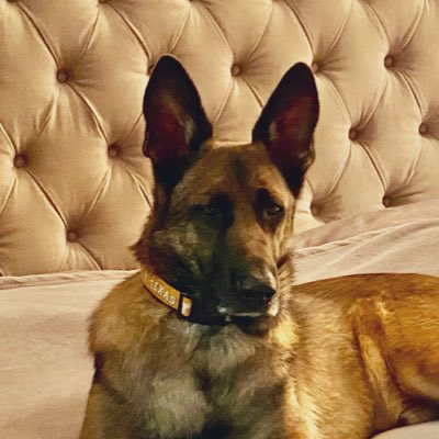 GarrickHatfield's tweet photo. #NewProfilePic https://t.co/L739rM16Lj