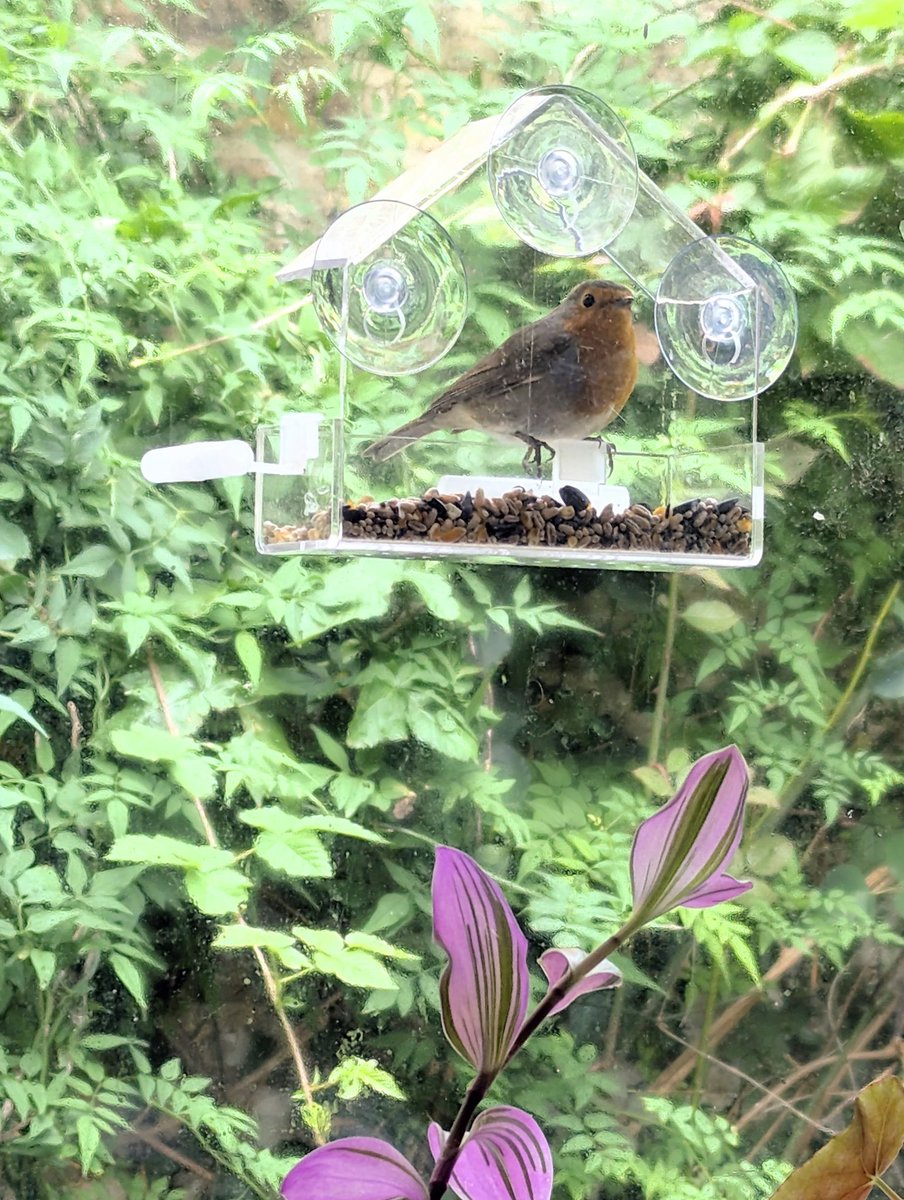 The Comedy Doctor tweet media