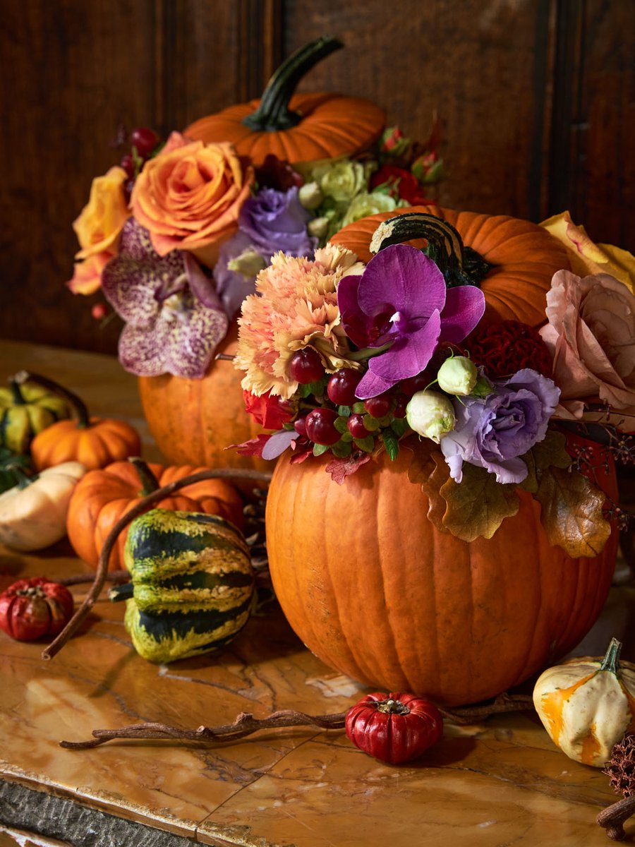 Pumpkins embody the essence of autumn, symbolising the season's abundance and rich harvest. At Neill Strain Floral Couture, we continue our tradition of crafting Petite Couture arrangements within real pumpkins, a hallmark of our seasonal collection.

#NeillStrainFloralCouture