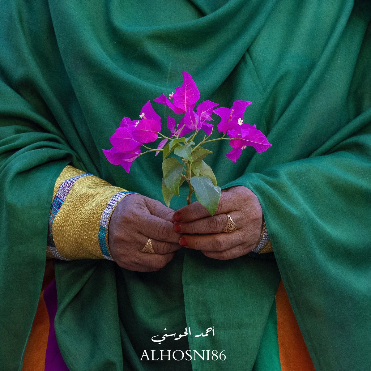 صور من جمالها تتمعّن فيها لساعات🩷🌷

تصوير: أحمد الحوسني