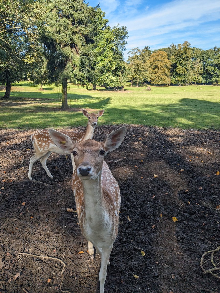 Sonntagsrunde im herbstlichen Sauerland.