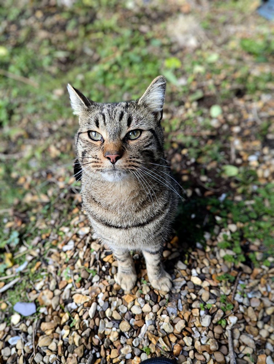 The Comedy Doctor tweet media