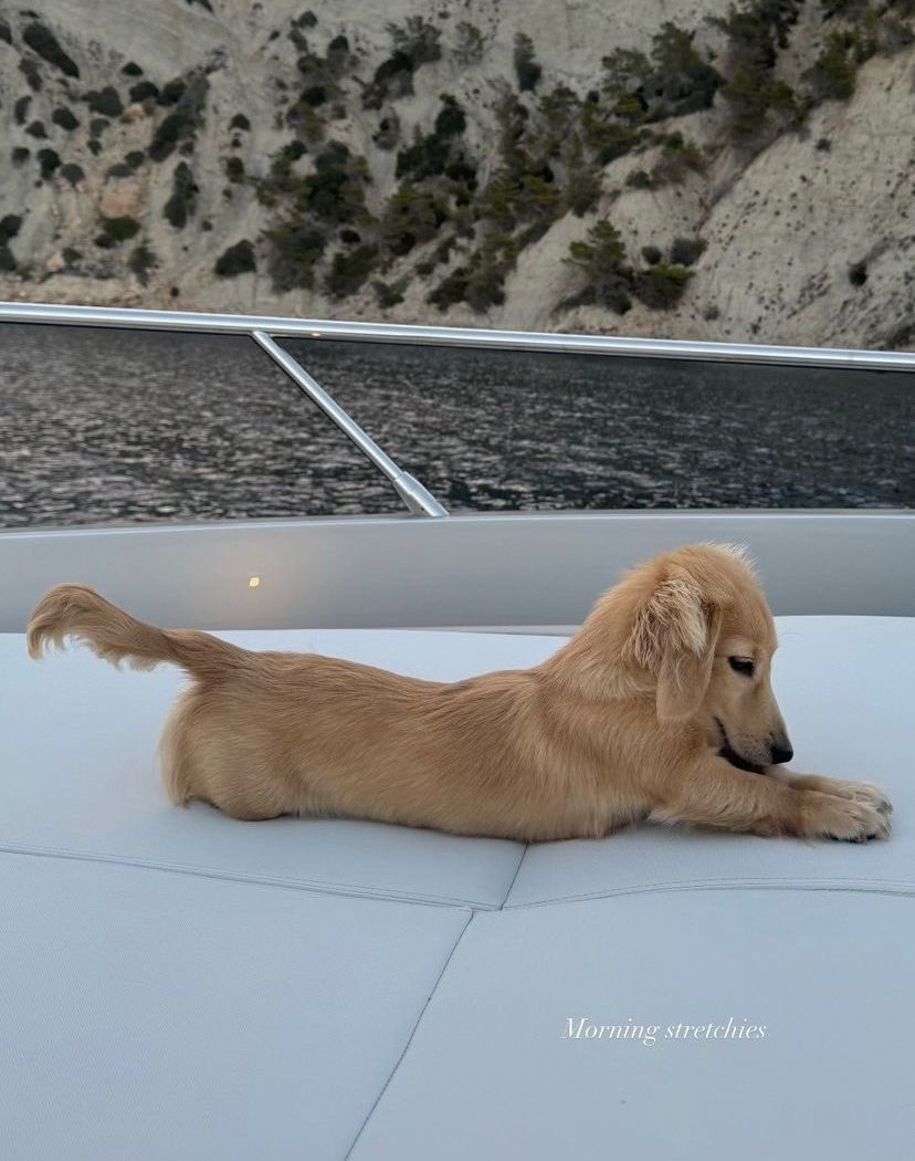 leclercsletters's tweet photo. this is the life that i need https://t.co/ds7IoRZ6qi