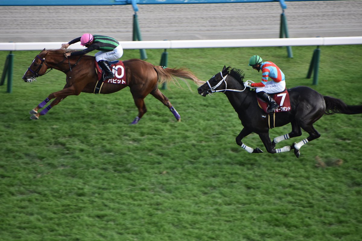 京都大賞典
最後の直線
ディープボンドとバビット