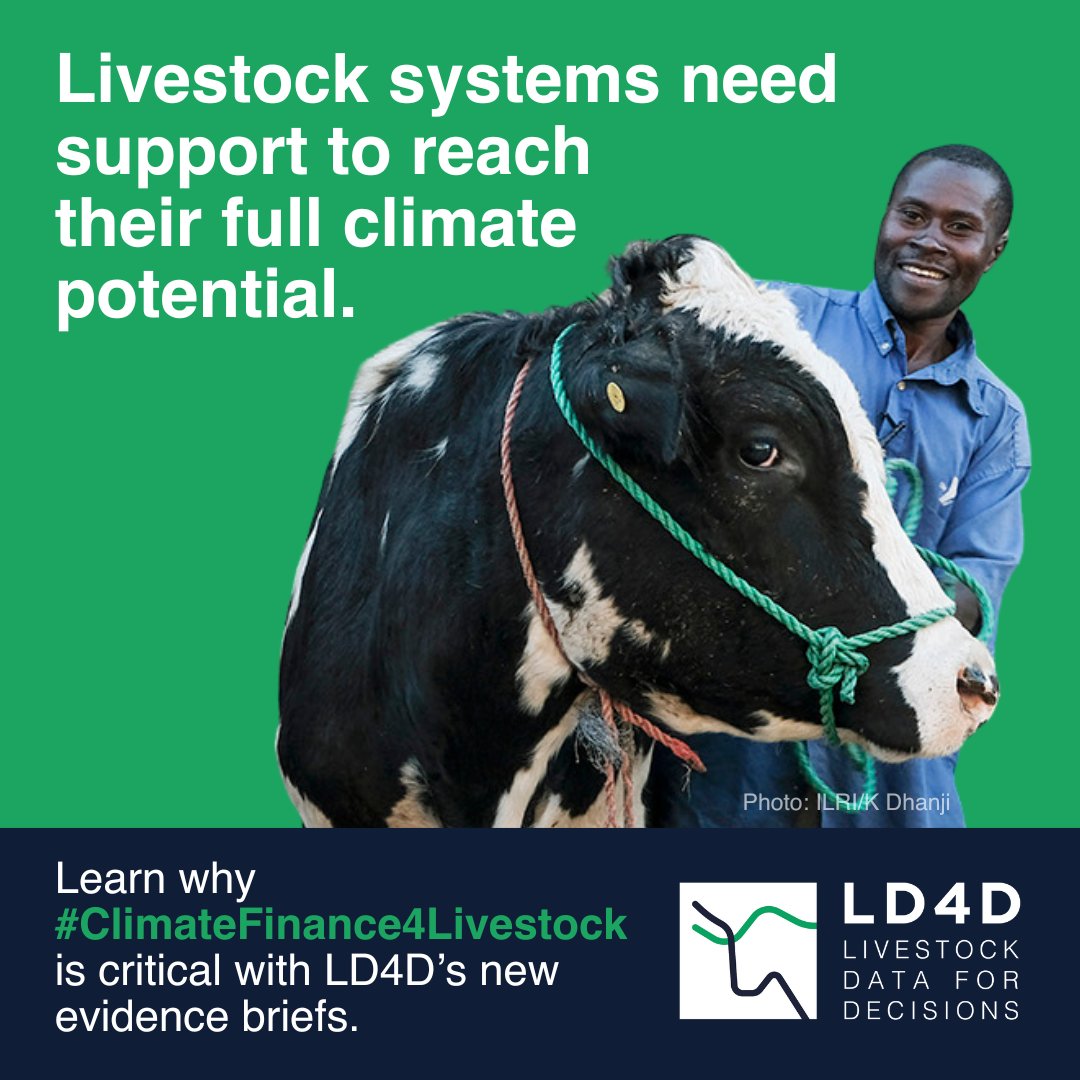 ILRI.org (@ilri) on Twitter photo 🚨 <a href="/LD4D_community/">Livestock Data for Decisions</a> has launched 3 evidence briefs to support low- and middle-income countries to access livestock #ClimateFinance.
1️⃣ #Investments
2️⃣ #Policies
3️⃣ #Data
Learn more here 👇
edin.ac/4cVIQw1
#ClimateFinance4Livestock #WhyLivestockMatter 🚨 <a href="/LD4D_community/">Livestock Data for Decisions</a> has launched 3 evidence briefs to support low- and middle-income countries to access livestock #ClimateFinance.
1️⃣ #Investments
2️⃣ #Policies
3️⃣ #Data
Learn more here 👇
edin.ac/4cVIQw1
#ClimateFinance4Livestock #WhyLivestockMatter