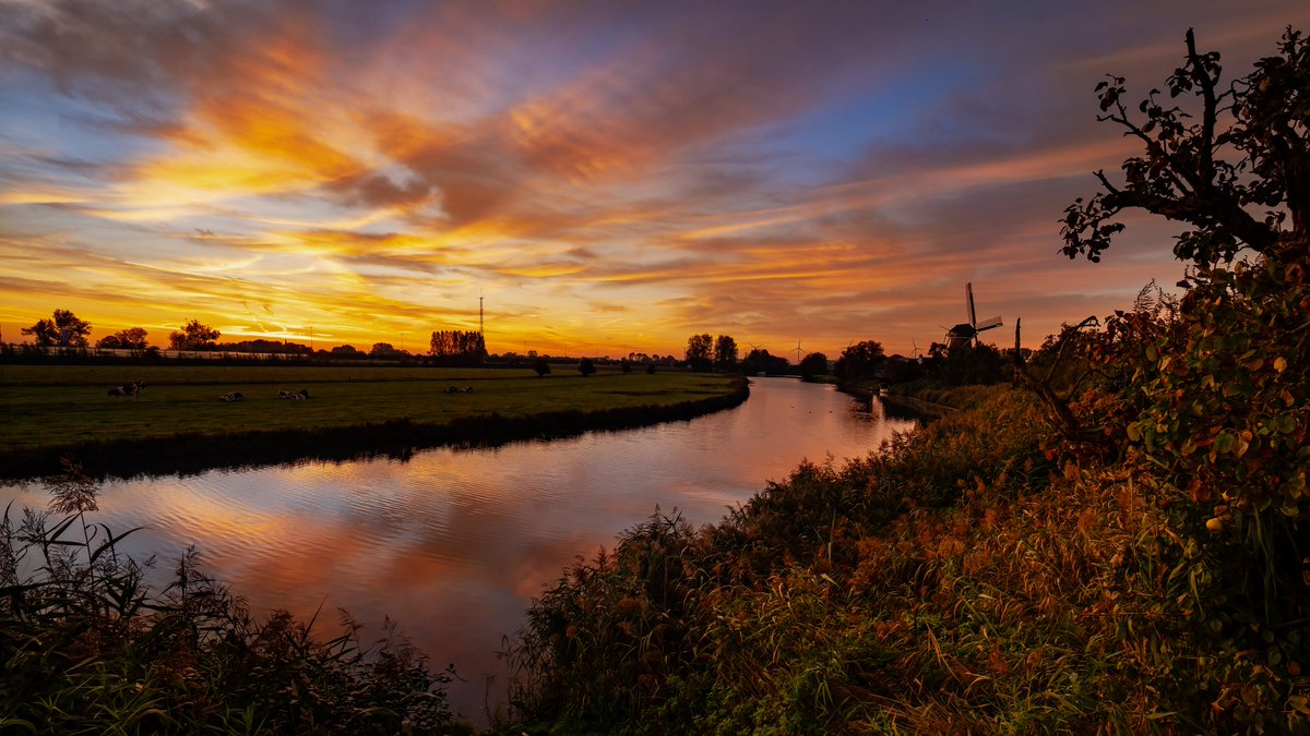 Ochtendrood water in de sloot vanochtend heel vroeg. ( wie van de vier ) #goedemorgen <a href="/wsrivierenland/">Waterschap Rivierenland</a> <a href="/RARivierenland/">RARivierenland</a> <a href="/rivierenlandnl/">Uit in de regio</a> #herfstboeket <a href="/HK_WestBetuwe/">Het Kontakt West Betuwe</a>