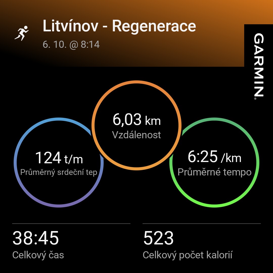 rene_lowy's tweet photo. V poslední době je"Twitter" samá nenávist, tak pokus o vtip. Začal jsem běhat a poslouchat Leoše Mareše 🤣 #punkisdead #garmin #beatyesterday https://t.co/VEAK1Zjui3