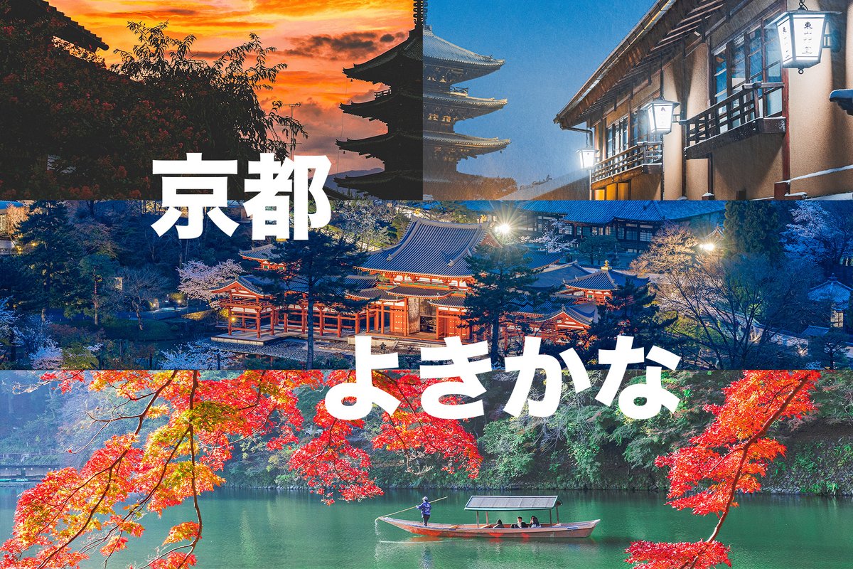 稲田大樹 / Daiki Inada tweet media