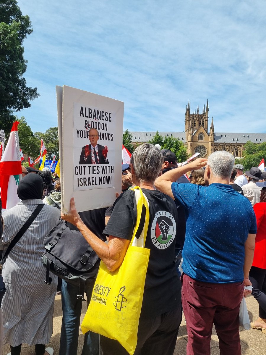 NNStrangers's tweet photo. @LeiblerMark Biggest march to date... @nswpolice were, as always, fantastic.
We walk for peace.
We walk in solidarity with our brothers/sisters who have lost so very many loved ones.
We walk together with those who treat others with dignity, respect, and love.
#FreePalestine #HandsOffLabanon https://t.co/f9x936tfxG