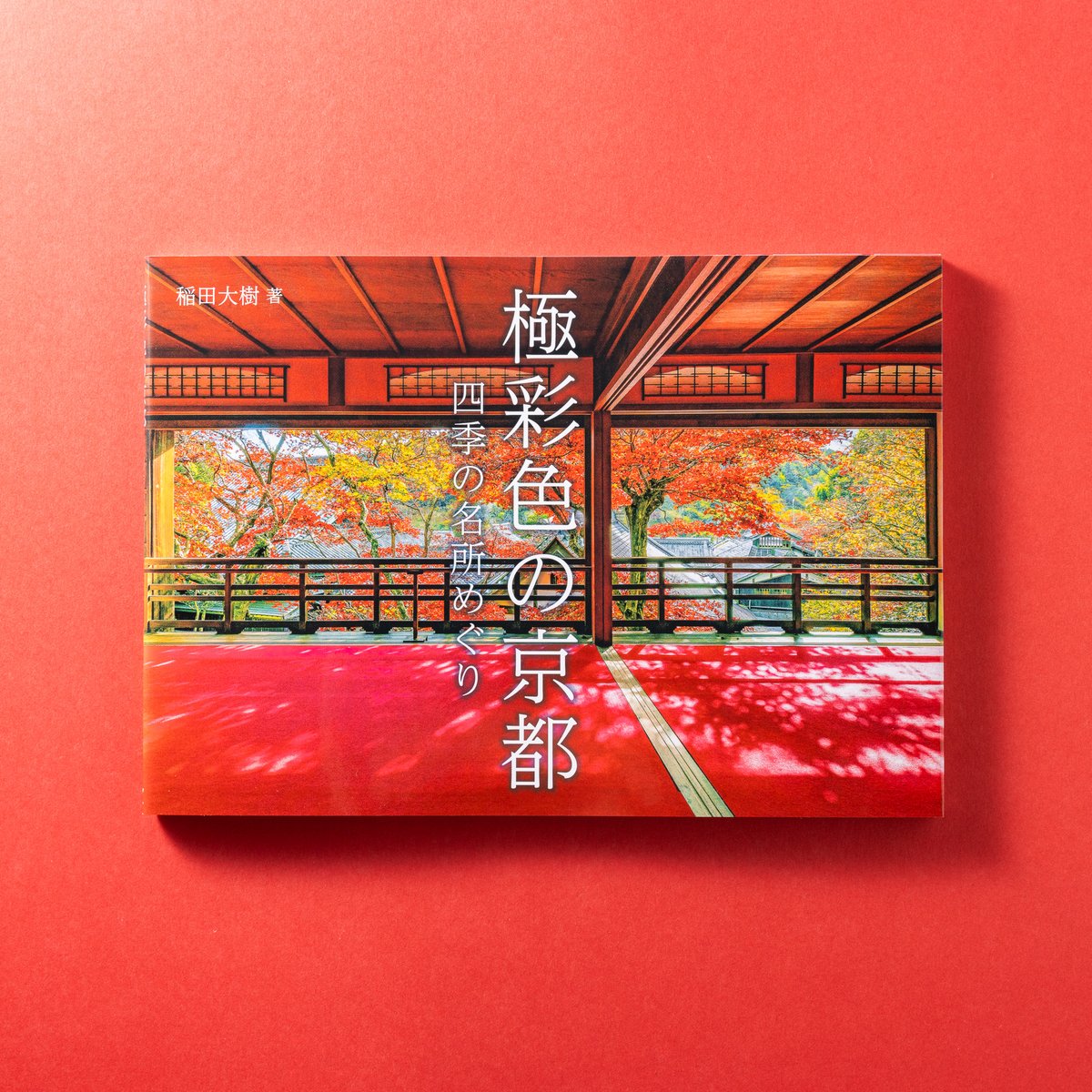 稲田大樹 / Daiki Inada tweet media