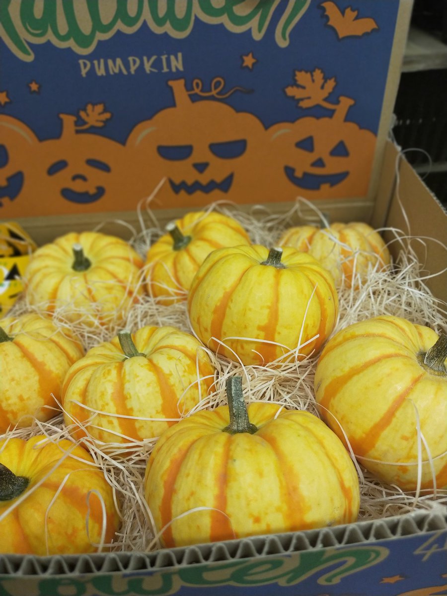 BFogiSTAFF's tweet photo. カボチャ入荷しました🎃 https://t.co/KkJcMPIt5I