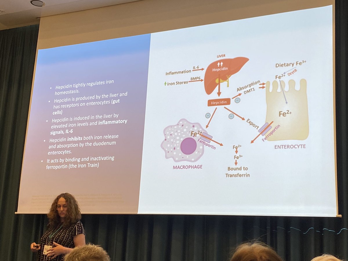 Fantastic start to the Nurses Symposium at Anaemia Day 2024 here in Copenhagen! IDA and fatigue: the patients experience. 
.
.
#anaemia #IDA #anaemiaday2024 #copenhagen