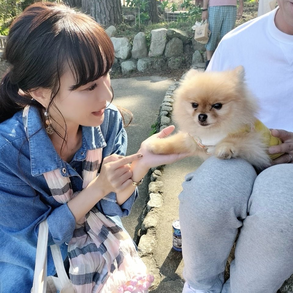 藤原岬 on X: 