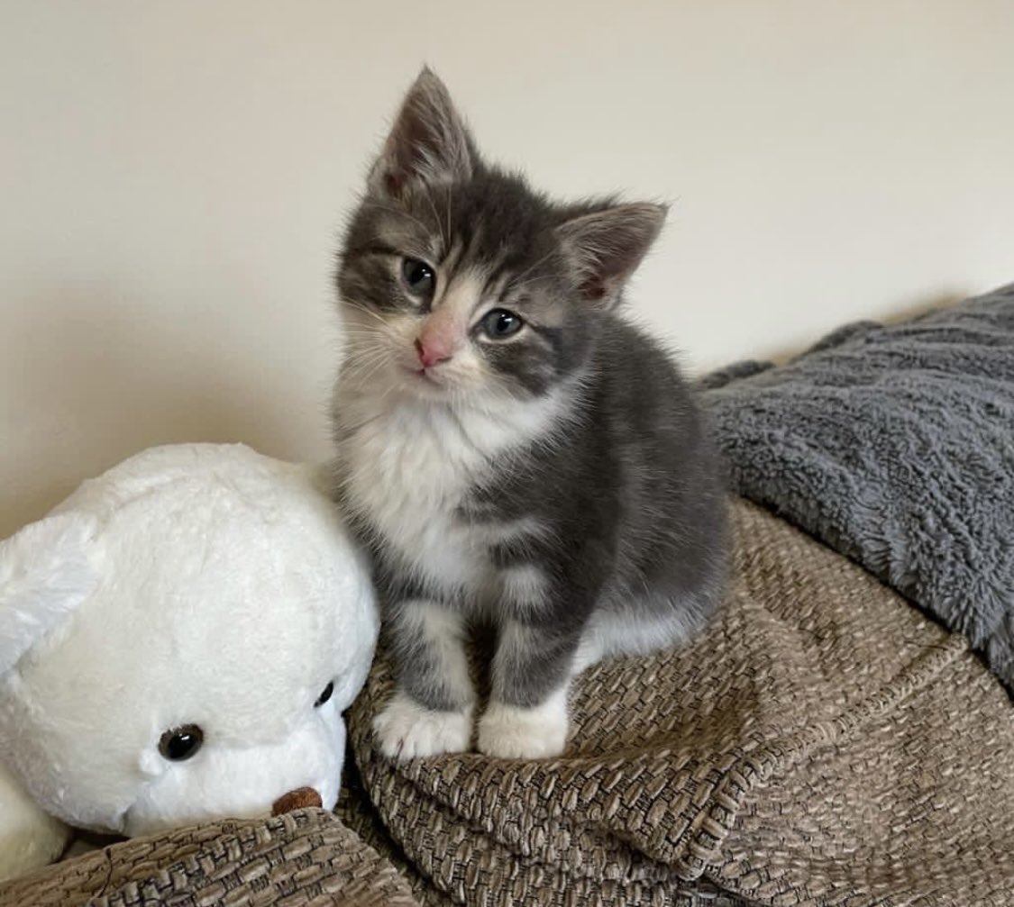 Jennifer Marr tweet media