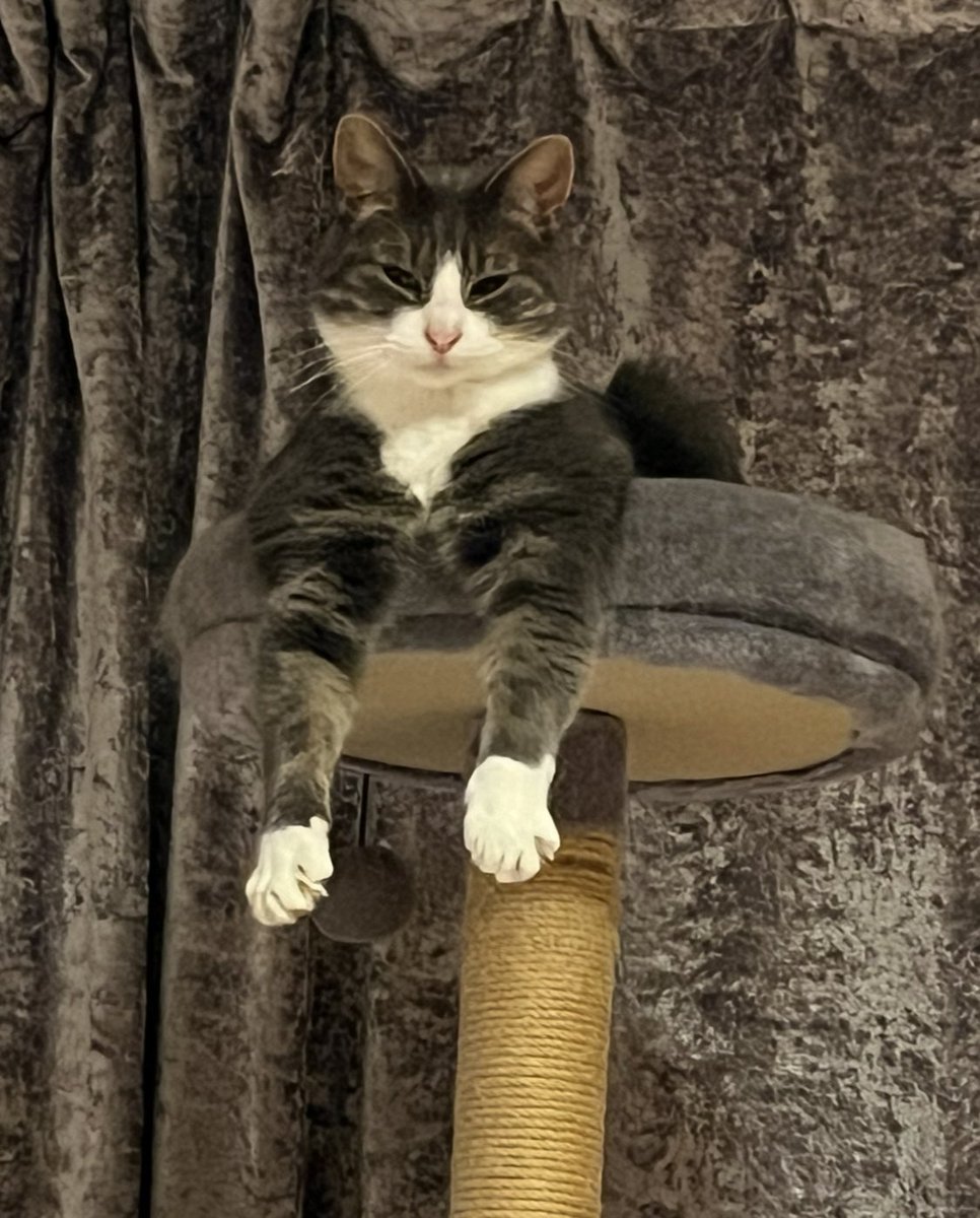 Jennifer Marr tweet media